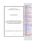 Luận văn Thạc sĩ chuyên ngành Chính sách công: Thực thi chính sách an sinh xã hội đối với người dân tộc thiểu số trên địa bàn huyện Mường Nhé, tỉnh Điện Biên